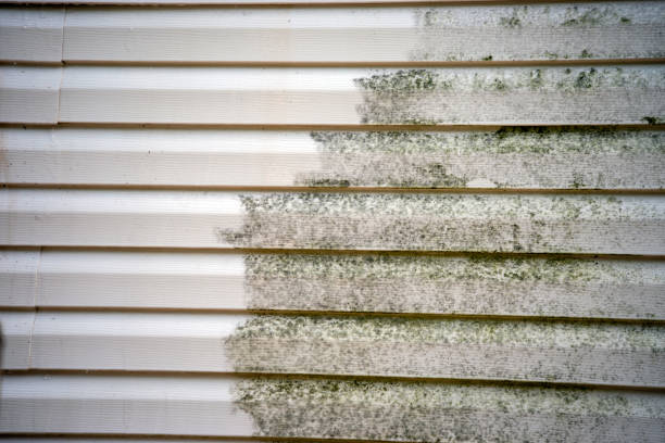 Best Storm Damage Siding Repair  in Frisco City, AL